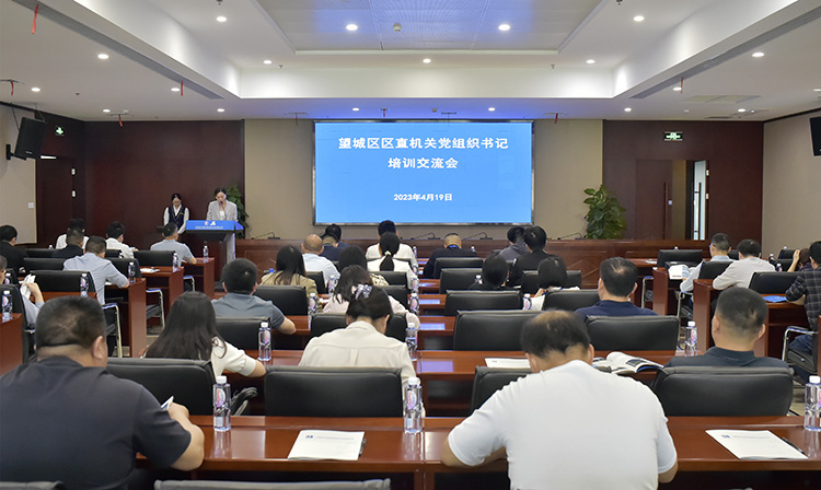 公司職能黨支部書記、黨群綜合部副部長（主持黨建工作）周葵主持會(huì)議.jpg